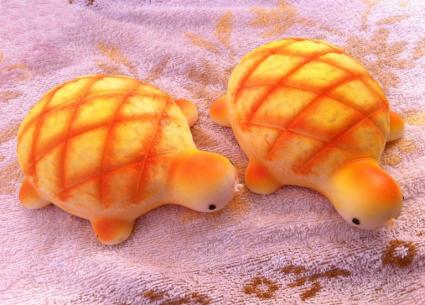 خبز السلحفاة