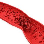 سلسلة رمضان: جلطات الأوردة وشهر رمضان ج1