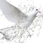 كيف تغفري لزوجك أخطاء الماضي